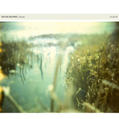 Falls Touching Grasses by Taylor Deupree