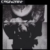 Cognizant: S / T