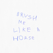 Brush Me Like A Horse