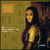 Acid Jazz & Soul : 20 Jazzy Tracks With a Touch of Soul for the Nightlife