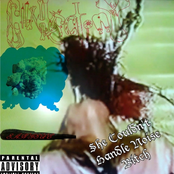 She Couldn't Handle Noise Bitch