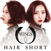 Hair Short by Wings