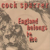 The Sun Says by Cock Sparrer