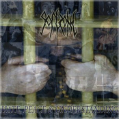 Hate, Peace & Understanding