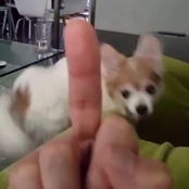 my stupid fucking brains on the ceiling for you