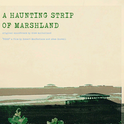 Drew Mulholland - A Haunting Strip Of Marshland