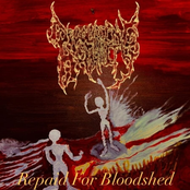 Repaid For Bloodshed