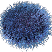 fragilité presents: Vladimir Gromadin