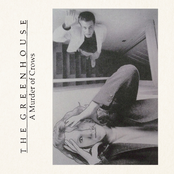 A Murder of Crows: The Greenhouse