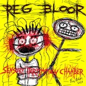 Sensory Irritation Chamber