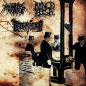 Rancid Flesh / Triturador / Industrial Noise