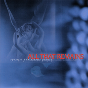 All That Remains: Behind Silence and Solitude