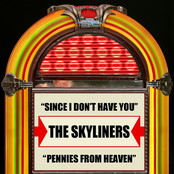 Since I Don't Have You / Pennies From Heaven