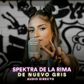 De Nuevo Gris (Audio Directo)