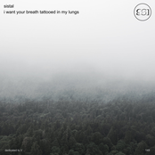 I Want Your Breath Tattooed In My Lungs