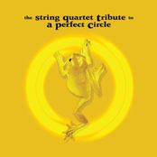 the string quartet tribute to a perfect circle