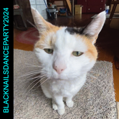 BLACKNAILSDANCEPARTY2024