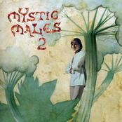 Soft Sounds For Gentle People: Mystic Males 2
