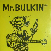 mr. bulkin