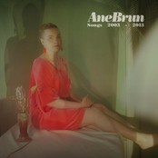 Temporary Dive by Ane Brun