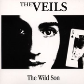 The Wild Son by The Veils