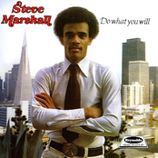 Steve Marshall: Do What You Will