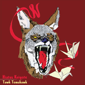 Hiatus Kaiyote: Tawk Tomahawk