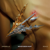 Never Been Hurt