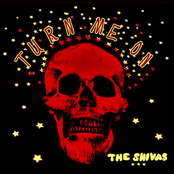 The Shivas: Turn Me On