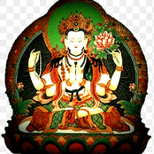 lo q yo mismo cree prod 444jet ssnoa