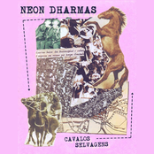 Cavalos Selvagens