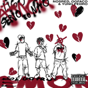 Sério Eu Não Ligo pro Amor