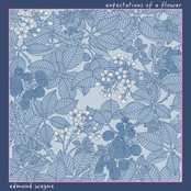 Expectations of a Flower