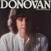 Lay Down Lassie by Donovan