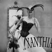 Xanthia