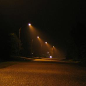 french cartoons/barracudas/duck to water