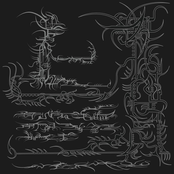 VENOMOUS LANGUAGE DIMENSION