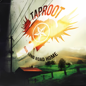 Taproot: Our Long Road Home