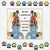 What Goes Around Comes Around by The Puppies