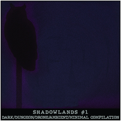 Shadowlands #1