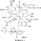 The Vitamin B12