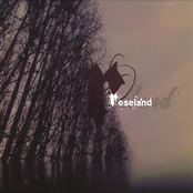 Roseland: Roseland