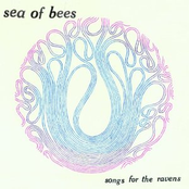 Skinnybone by Sea Of Bees