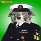 Anubi.