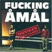 Fucking Åmål