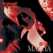 鮮血ノMARIYA [Single] 2011.07.27