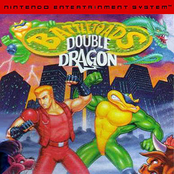 Battletoads & Double Dragon