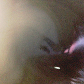 The Reason to Get Up in the Morning