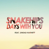 Days With You (feat. Sinead Harnett) by Snakehips