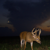 How It's Supposed to Feel